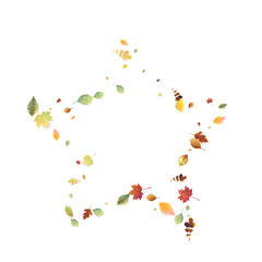 Leaves Falling Autumn Foliage Chaotic Leaf Flying