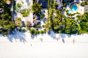 Fototapeta na wymiar Zanzibar is a real oasis for holidays, and the beach looks like paradise thanks to sunny days and palm trees.