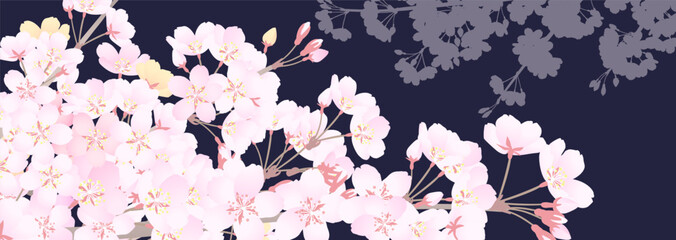 夜空を見上げた、落ち着いた雰囲気の桜の背景イラスト
