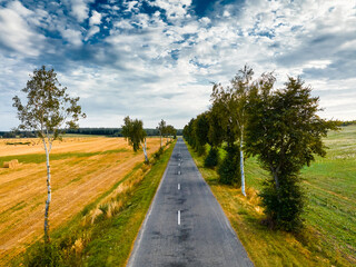 Fototapeta na wymiar Countryside road between planted field and bales on stubble