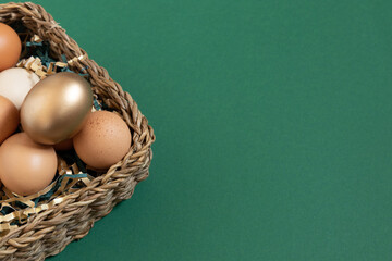 Easter eggs natural and gold color in basket with paper filler. Dark green background with copy space.
