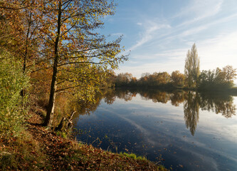 Ehemalige Baggerseen am Main bei Grafenrheinfeld, Landkreis Schweinfurt, Unterfranken, Franken, Bayern, Deutschland