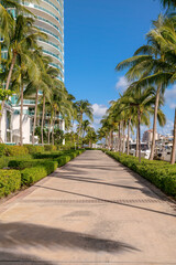 Obraz premium Pathway with bushes and coconut trees along the sidelines at Miami River Walk- Miami, Florida. Straight concrete path with views of modern building on the left and boats on the right.
