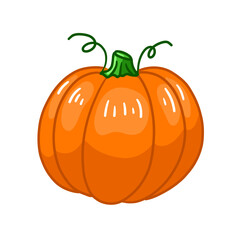 Colorful organic pumpkin. Healthy plant for vegetarian or vegan diet. Vector illustration in doodle style