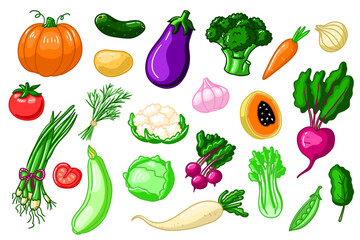Vegetable doodle color collection. Healthy diet for vegetarian, vegan. Organic broccoli, carrot, cucmber, cabbage, cauliflower, eggplant... Ingridients for menu