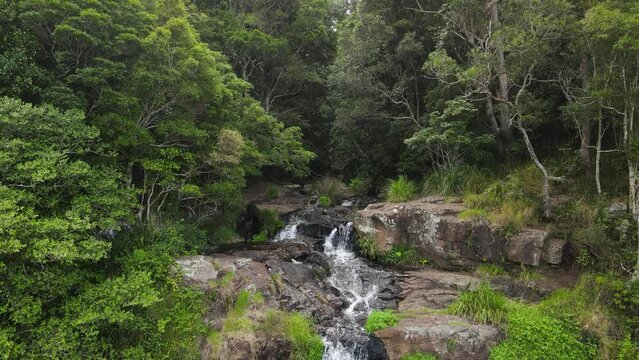 The Morans Falls, a plunge waterfall on Morans Creek located in the Lamington National Park