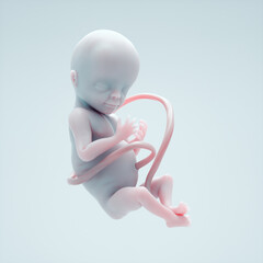 Conceptual image of a fetus. Fertility and science concept.