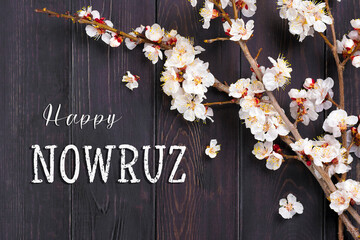 Sprigs of the apricot tree with flowers Text Happy Nowruz Holiday Concept of spring came Top view Flat lay Hello march, april, may, persian new year - 569810500