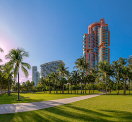 Fototapeta na wymiar Concrete pathway in the middle of green lawn with palm trees at South Pointe Park in Miami, Florida. Concrete pavement on a park with views of multi-storey buildings against the sunny blue sky.