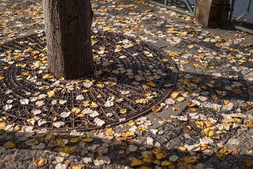 Multitude of leaves on the ground around the tree trunk in the city, tree surrounded by metal railing for pedestrian safety.