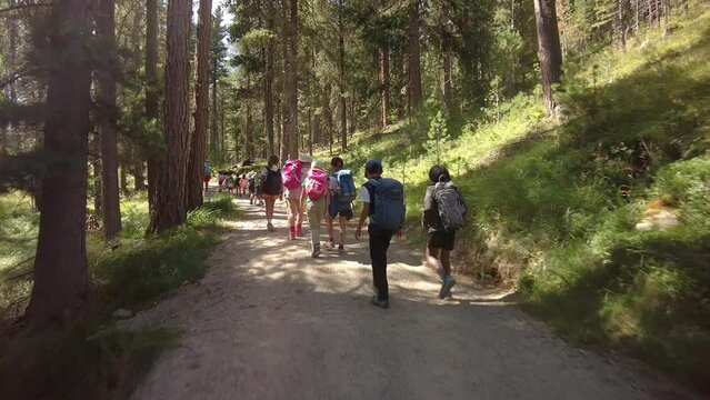 Children"s mountain hiking trip