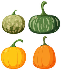 Set of different pumpkins vector