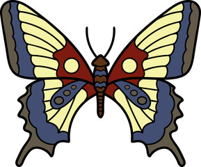 Obraz na płótnie Canvas Butterfly illustration. Vector illustration. Live nature. 
