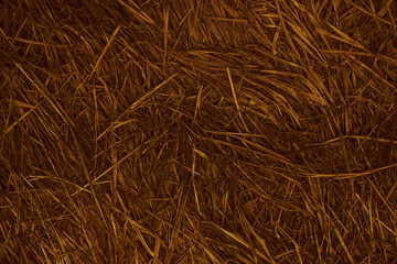 top view background of Texture of trampled, dry grey grass dried from heat. dried grass and some weeds in a meadow after a long time of drought.  gray plants were trampled.