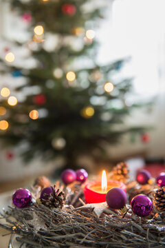 Decorative advent wreath with burning candle in front of Christmas tree, Bavaria, Germany
