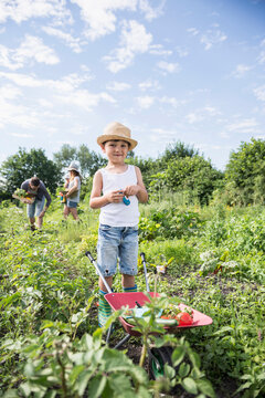 Small boy holding switchblade with wheelbarrow in community garden, Bavaria, Germany