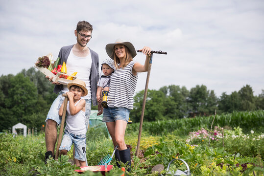 Family harvesting vegetables in community garden, Bavaria, Germany