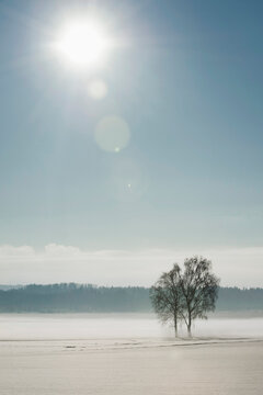 Winter landscape, Bavaria, Germany
