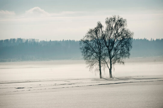 Winter landscape, Bavaria, Germany