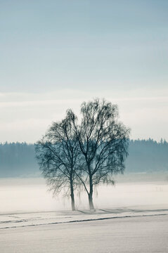 Winter landscape, Bavaria, Germany