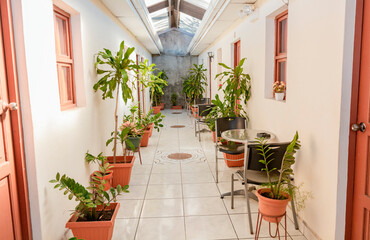 Fototapeta na wymiar Corridors of a tropical hotel. A hotel corridor with pots of natural plants