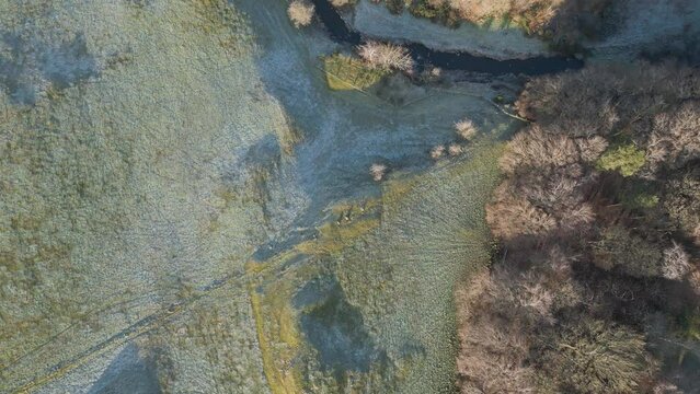 Aerial video flying over a frozen river and a forest from the bottom up. Cenital shot.