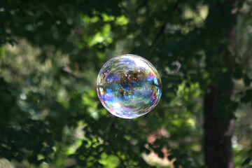 soap bubbles in the air