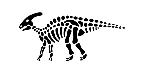 Parasaurolophus skeleton. Parasaurolophus fossil body parts. Dinosaur bones with skull. Dangerous ancient predator. Prehistoric creature bones