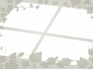 Obraz premium 白色の壁にツタの葉と窓のフレームの影が映るシンプルな背景