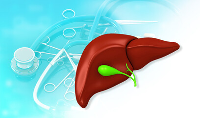 Human liver anatomy on medical background. 3d illustration.