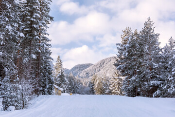 Fototapeta premium Bansko, Bulgaria, bulgarian winter ski resort panorama with winter ski road slope and Pirin mountain peaks view