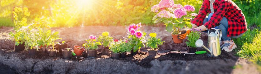 Gardner holding in her hands sprout of flower.