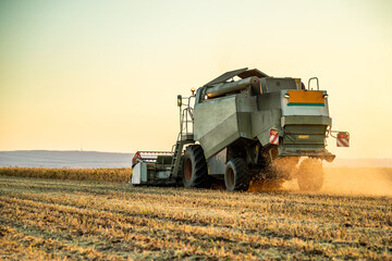 Working the field, a farmer in a combine harvester at work in a soybean agricultural farm