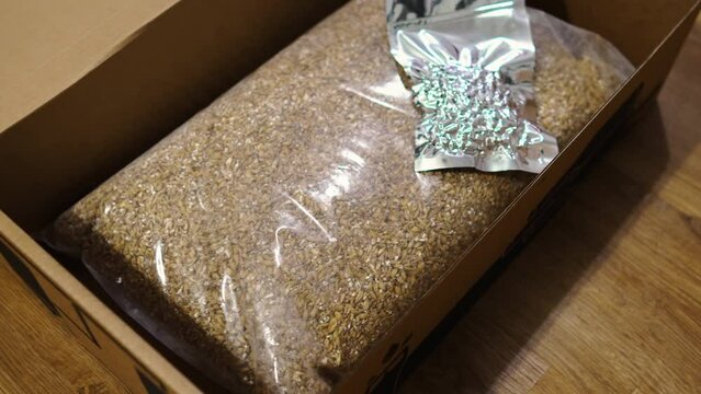Barley malt and hops packet for home beer brewing. High quality photo