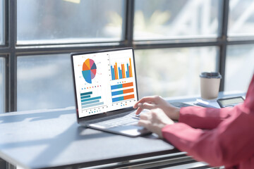 Young pretty attractive asia chinese half thai woman mixed race working with online balance sheet outsource, online bookkeepers helpful consult customized accounting reports and financial statements.