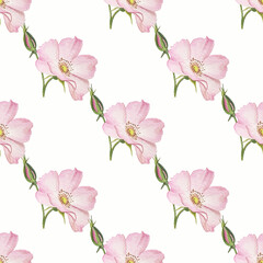 Fototapeta na wymiar Summer watercolor pattern with pink flowers