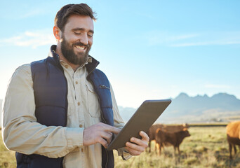 Checklist, cow or agriculture man with tablet on farm for sustainability, production or industry...