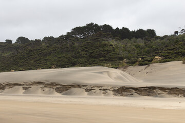 Sand dunes at Pouto Beach, New Zealand.