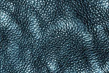Blue color leather fabric. Fashion pattern background. Black textile texture.