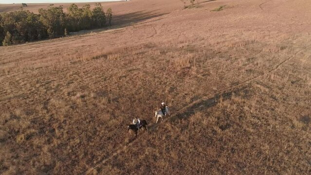 High angle handheld shot of friends riding horses on landscape