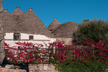 Romantic Italian  village named Alberobello with typical architecture, white houses built from adry...