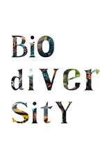 a black background with the words Biodiversity 