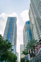 Fototapeta na wymiar Modern high-rise buildings from a street view with trees at Miami, Florida. Views of multi-storey corporate and residential buildings against the white sky background.
