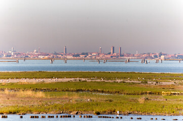 Venezia.  Barena della laguna con skyline della città 
