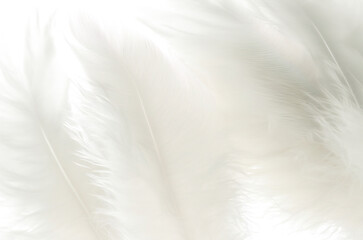 White soft feathers background. Purity concept. Created with Generative AI technology.