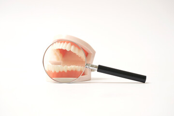 歯科健診イメージ