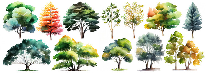 Fototapeta na wymiar Watercolor trees collection. Set of hand drawn trees. Forest tree pack. Generative Ai.