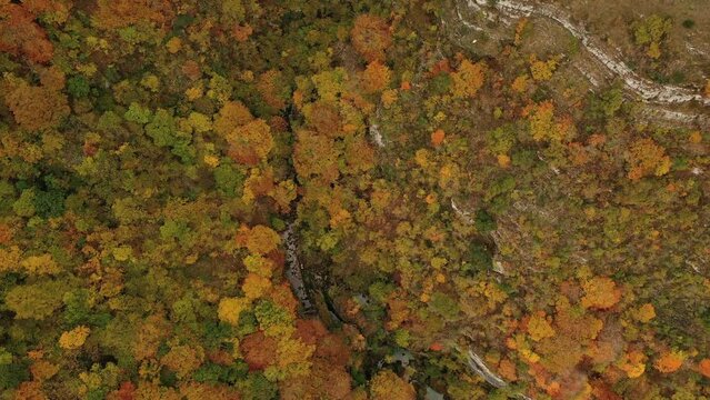 Aerial view in Autumn scene in Nacedero de Urederra.