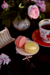 Aesthetics french macarons on the wooden miniature table near bench, cafe style. Tea rose decorations. Tea time.