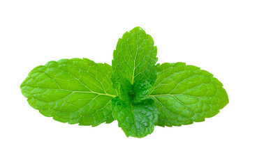 mint on transparent png